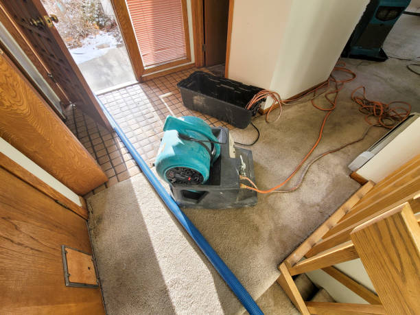 Best Residential water damage restoration  in Doral, FL