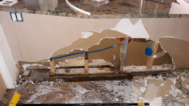 Best Water damage cleanup near me  in Doral, FL