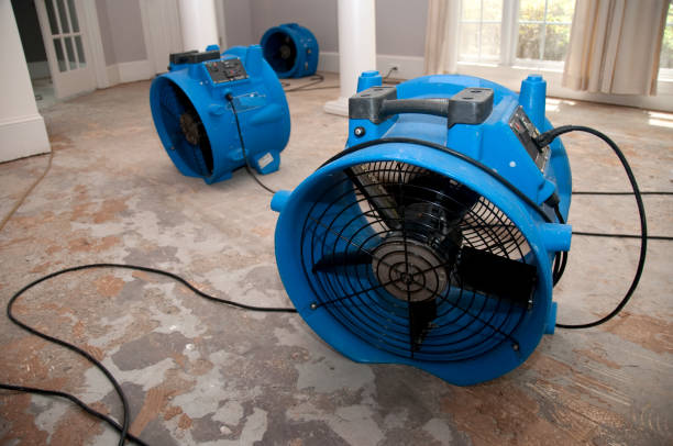 Best Ceiling water damage repair  in Doral, FL