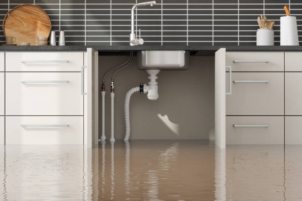 Best Basement water damage restoration  in Doral, FL