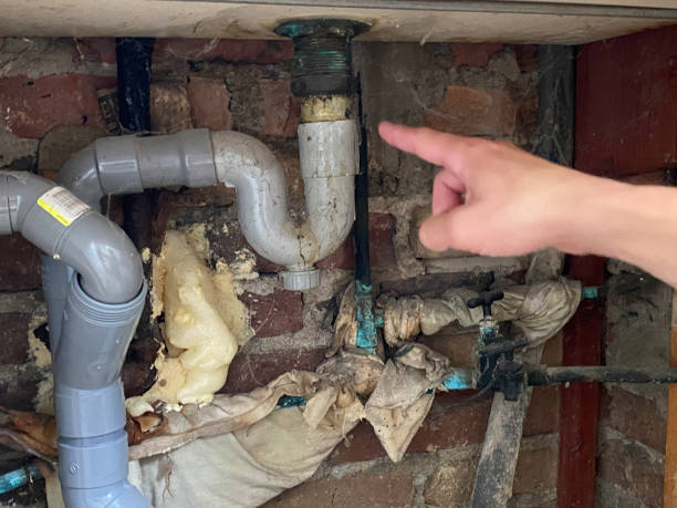 Best Fire Damage Restoration  in Doral, FL