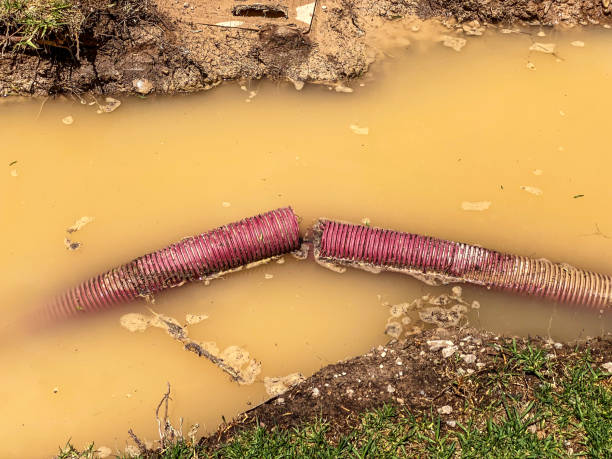 Best 24/7 water damage repair  in Doral, FL