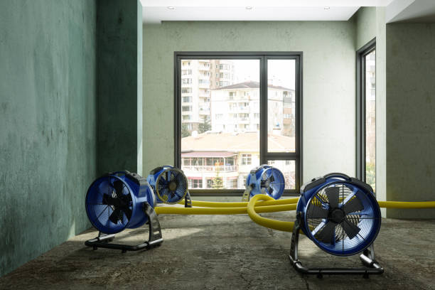 Best Basement water damage restoration  in Doral, FL