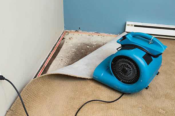 Best Fire Damage Restoration  in Doral, FL